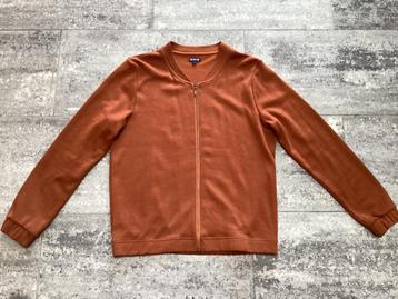 Cardigan / gilet Lilly Balou L beschikbaar voor biedingen