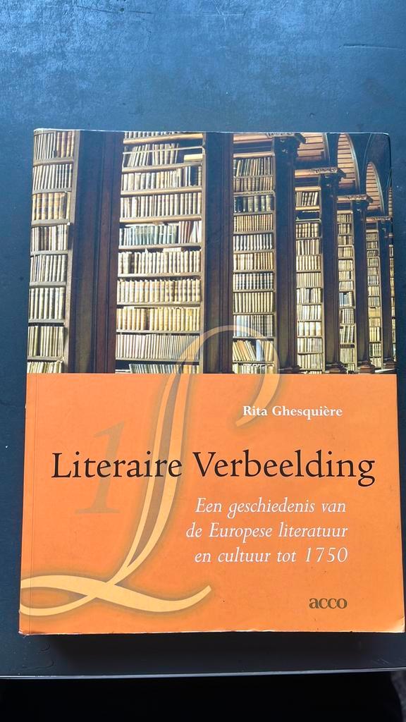 Rita Ghesquiere - Literaire verbeelding 1, Boeken, Wetenschap, Zo goed als nieuw, Ophalen of Verzenden