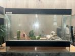 Terrarium, Ophalen, Gebruikt