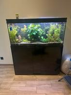 Aquarium met onderkast 120, Ophalen, Zo goed als nieuw