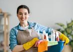 Femme de ménage, Offres d'emploi