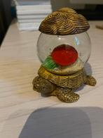 Décoration tortues, Collections, Tirelires, Comme neuf