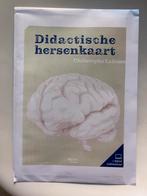 Didactische hersenkaart Christophe Lafosse, Ophalen of Verzenden, Nieuw