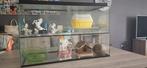 Gerbil kot te koop, Dieren en Toebehoren, Ophalen, Kooi, Gebruikt, 60 tot 90 cm