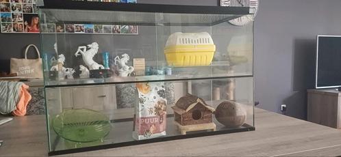 Gerbil kot te koop, Dieren en Toebehoren, Knaagdieren en Konijnen | Hokken en Kooien, Gebruikt, Kooi, 60 tot 90 cm, Minder dan 75 cm