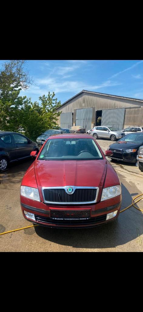 Totale liquidatie Diverse Skoda Octavia 1.6cc benzineauto, Auto's, Skoda, Bedrijf, Octavia, Benzine, Automaat, Leder