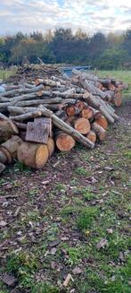 brandhout, Tuin en Terras, Elzenhout, Ophalen, 6 m³ of meer