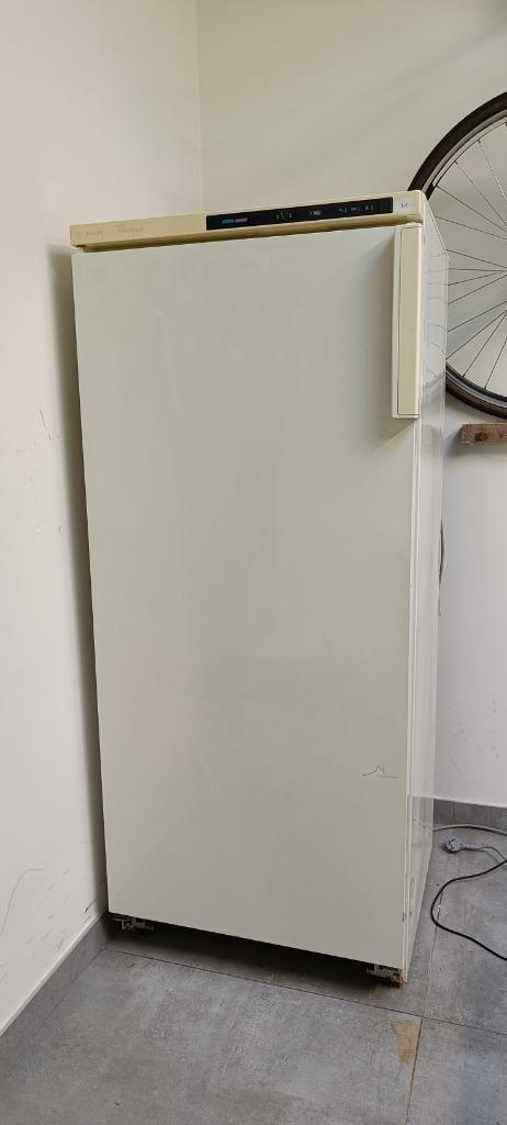 diepvries, Elektronische apparatuur, Vriezers en Diepvrieskisten, Gebruikt, Vrijstaand, Vrieskast, 120 tot 140 cm, Minder dan 60 cm