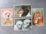 4 nieuwe postkaarten met tekeningen van honden en poes, Ophalen of Verzenden, Nieuw
