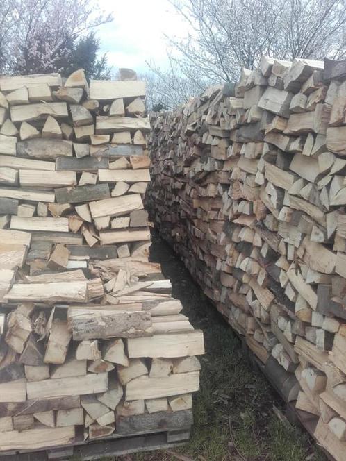 Brandhout beuk en populier, Jardin & Terrasse, Bois de chauffage, Enlèvement