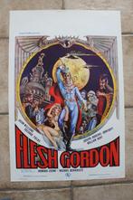 filmaffiche Flesh Gordon 1974 filmposter, Verzamelen, Posters, Ophalen of Verzenden, A1 t/m A3, Zo goed als nieuw, Rechthoekig Staand