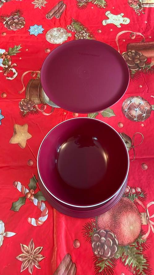 Allegra set schaaltjes 275 ml, Huis en Inrichting, Keuken | Tupperware, Nieuw, Schaal, Wit, Ophalen of Verzenden