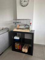 Hamsterkooi, Dieren en Toebehoren, Ophalen, Zo goed als nieuw, Kooi, Hamster