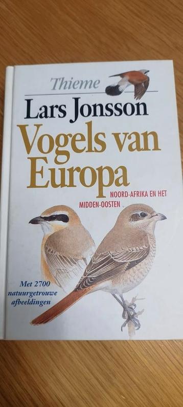 Vogels - Noord-Afrika en het Midden-Oosten beschikbaar voor biedingen