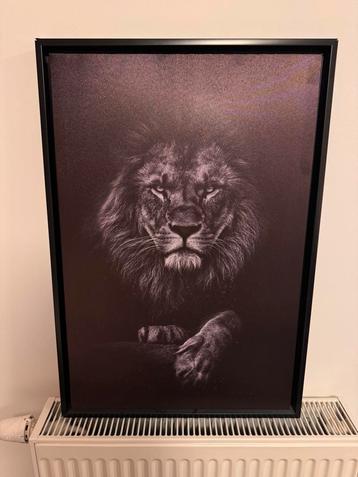 Cadre lion, Enlèvement, Comme neuf