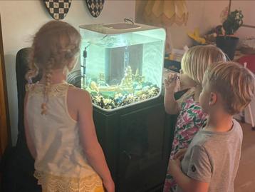 Biorb wit 30l beschikbaar voor biedingen