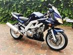 Sv 1000, Motos, 998 cm³, Plus de 35 kW, 2 cylindres, Sport