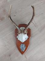 Gewei van Ree, Ophalen