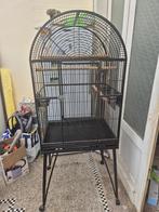 Cage perroquet, Ophalen, Zo goed als nieuw