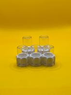 Byformica liquid feeder mini set 5 stuks mieren, Mieren