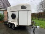 TE HUUR: 2 paards trailer, Bois, Enlèvement, Utilisé, Remorque 2 chevaux