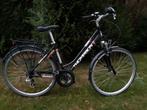 Thompson maat 50, 28 inch, Gebruikt, 47 tot 50 cm, Meer dan 20 versnellingen