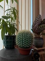 Vintage cactuslamp, tafellamp jaren 90, Kunststof, Gebruikt, Ophalen of Verzenden, Vintage retro