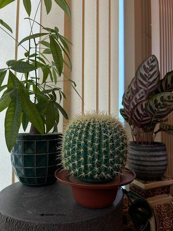 Vintage cactuslamp, tafellamp jaren 90 beschikbaar voor biedingen
