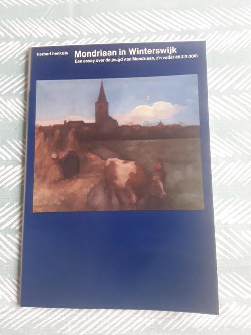 Mondriaan in Winterswijk, Livres, Art & Culture | Arts plastiques, Comme neuf, Peinture et dessin, Enlèvement ou Envoi