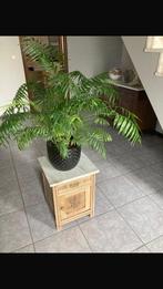 Kastje/plantentafel, Huis en Inrichting, Ophalen