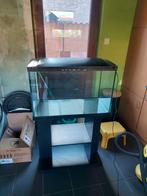 Aquarium 250 liter +buitenfilter, Zo goed als nieuw, Ophalen