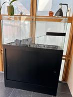 Terrarium, Dieren en Toebehoren, Ophalen, Zo goed als nieuw, Terrarium of Paludarium