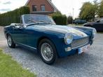 Austin Healey, Overige merken, Achterwielaandrijving, Zwart, Cabriolet
