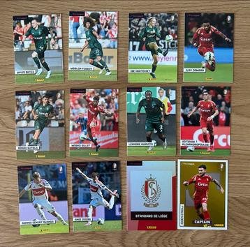 Panini pro league 2024/2025 Full set kaarten  Standard beschikbaar voor biedingen