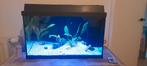 Juwel 60l met ledverlichting en alle toebehoren, Dieren en Toebehoren, Ophalen, Zo goed als nieuw