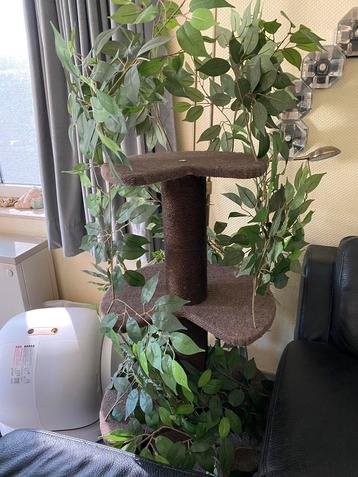 Arbre à chat, Enlèvement, Comme neuf, Griffoir