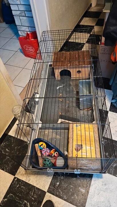 Konijnenkot, Animaux & Accessoires, Rongeurs & Lapins | Cages & Clapiers, Comme neuf, Cage, Moins de 60 cm, 110 cm ou plus, Écureuil