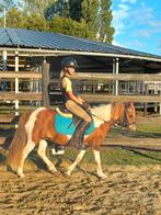 Kinderpony, Dieren en Toebehoren, Pony's, Merrie, Gechipt, Niet van toepassing, A pony (tot 1.17m)