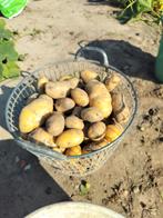 Nieuwe aardappelen, Diversen, Ophalen