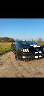 Ford mustang 2.3l eco boost 55 years edition, Auto's, Ford, Achterwielaandrijving, Leder, Handgeschakeld, Particulier