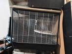 Vogel kooi tekoop wegens niet meer gebruiken, Dieren en Toebehoren, Ophalen