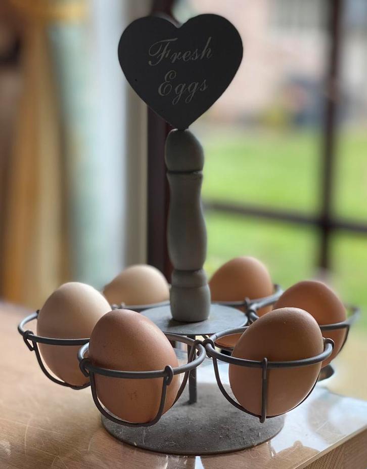 Broedeieren zijdehoen zijdehoender, Dieren en Toebehoren, Pluimvee | Toebehoren, Nieuw, Ophalen of Verzenden