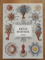 Tashen The Art and Science of Ernst Haeckel, grote versie, Boeken, Kunst en Cultuur | Beeldend, Ophalen of Verzenden, Zo goed als nieuw