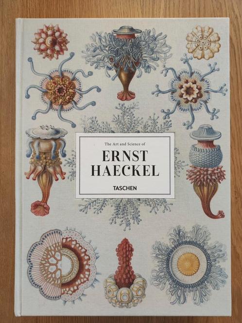 Tashen The Art and Science of Ernst Haeckel, grote versie, Livres, Art & Culture | Arts plastiques, Comme neuf, Enlèvement ou Envoi