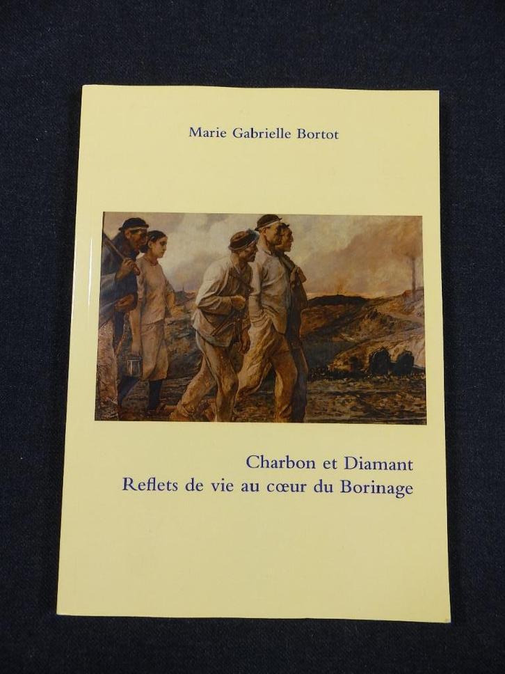 Boek Reflecties van het leven in het hart van Borinage, Boeken, Geschiedenis | Nationaal, Nieuw, 20e eeuw of later, Ophalen of Verzenden