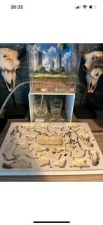 Xxl Messor barbarus mieren colonie, Ophalen, Zo goed als nieuw