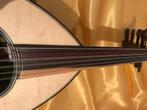 Arabische oud luthier, luit, luth, ud, Oud, ud, Neuf