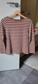 dames t- shirt, Kleding | Dames, T-shirts, Bruin, Zo goed als nieuw, Lange mouw, Ophalen