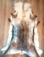 Peau de Renne Norvégien Authentique, Maison & Meubles, Envoi, Comme neuf