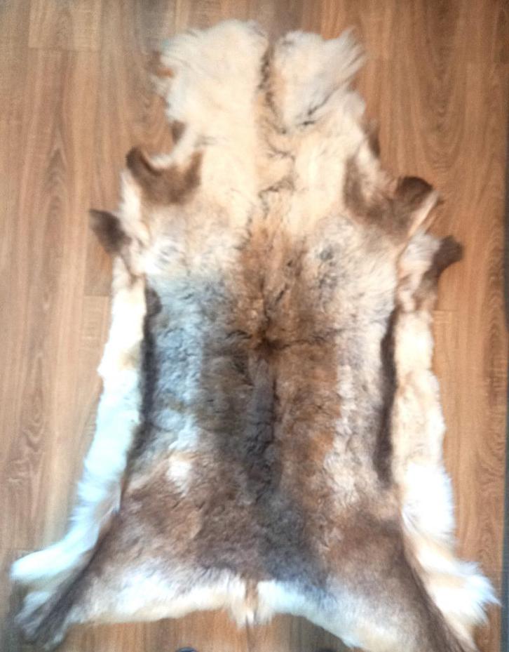 Peau de Renne Norvégien Authentique, Maison & Meubles, Accessoires pour la Maison | Plaids & Couvertures, Comme neuf, Envoi